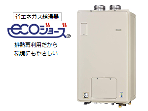 �G�R�W���[�Y�K�X������y�Ǌ|���z