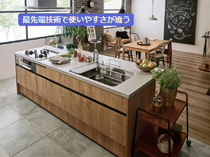 �V�X�e���L�b�`��